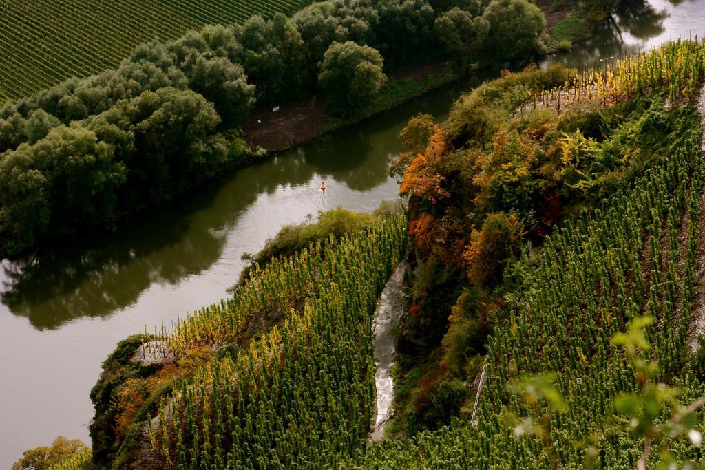 Bio-Weingut Staffelter Hof Kröv Exterior foto